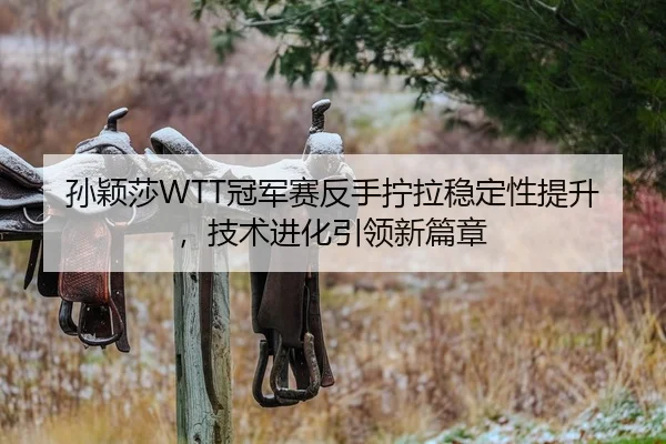 孙颖莎WTT冠军赛反手拧拉稳定性提升，技术进化引领新篇章
