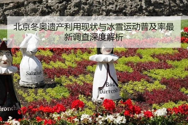 北京冬奥遗产利用现状与冰雪运动普及率最新调查深度解析